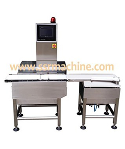 High precision stainless steel check weigher
